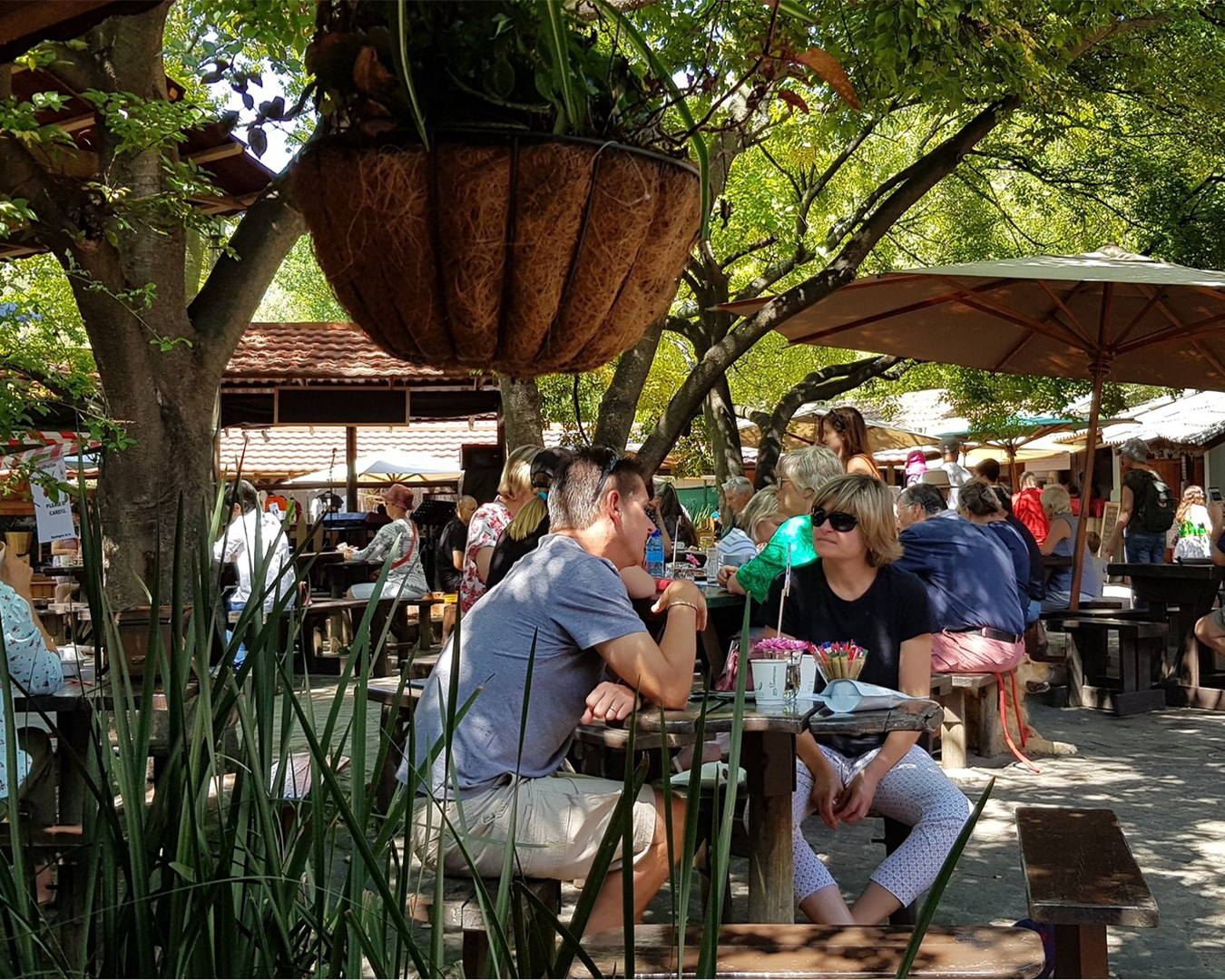 Michael Mount Waldorf School The Greater Waldorf Community 9788