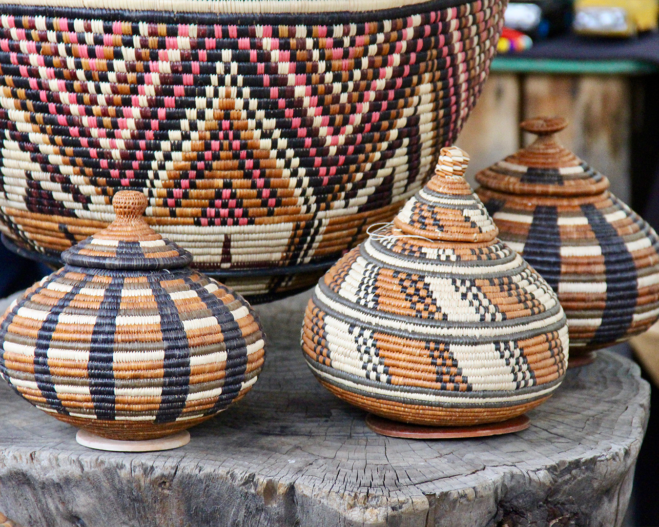 Michael Mount Waldorf School The Greater Waldorf Community 9788