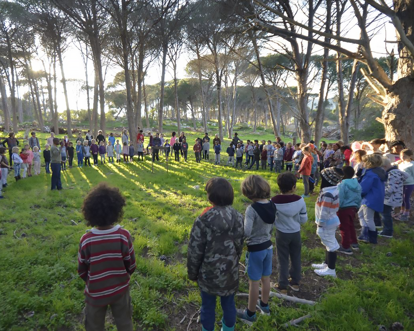 Michael Mount Waldorf School The Greater Waldorf Community 9788