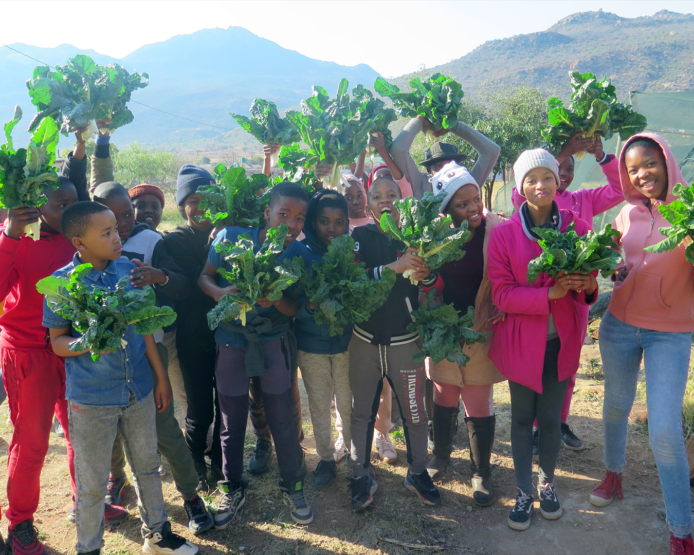 Michael Mount Waldorf School The Greater Waldorf Community 9788