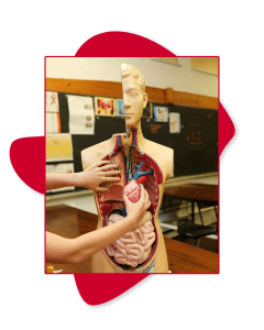 Michael Mount Waldorf School High School 8507