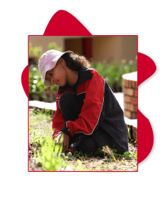 Michael Mount Waldorf School Primary School 8490