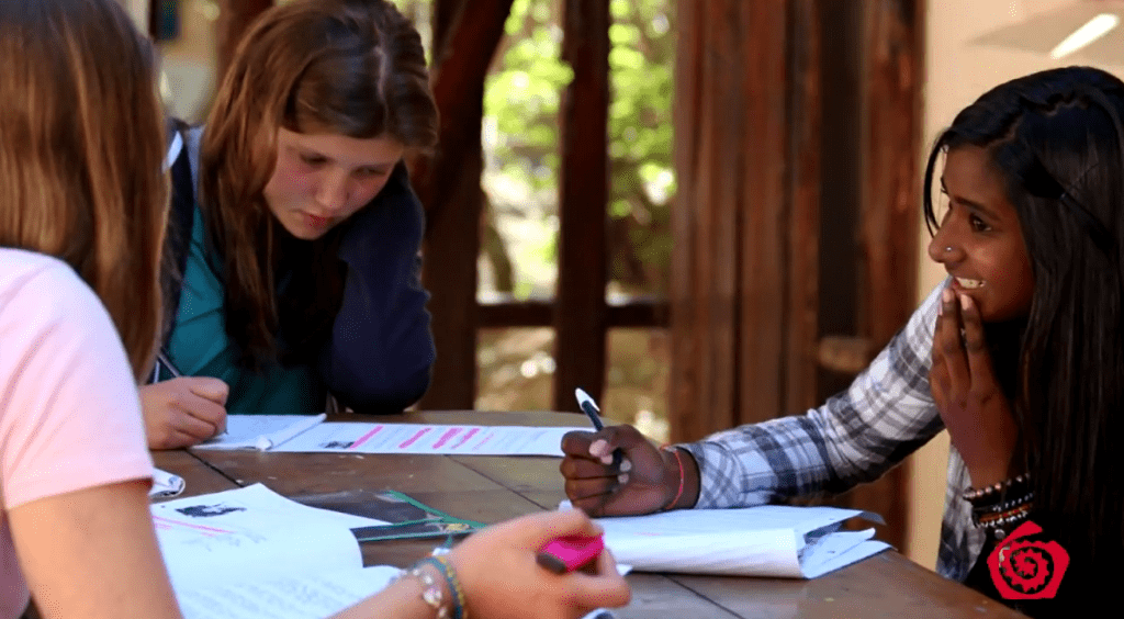 Students studying outdoors