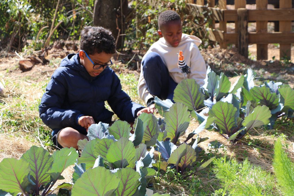 Waldorf Education for the future of STEM