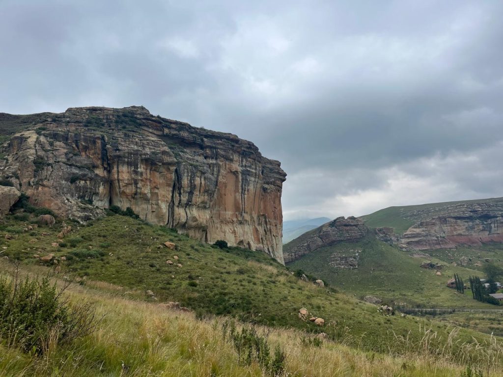 Michael Mount Waldorf School Class of 2025 32241