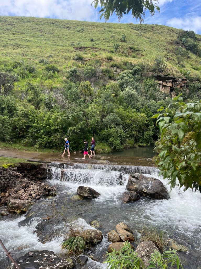 Michael Mount Waldorf School Class of 2025 32241