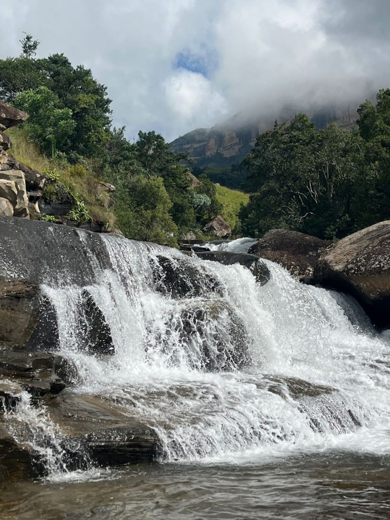 Michael Mount Waldorf School Class of 2025 32241