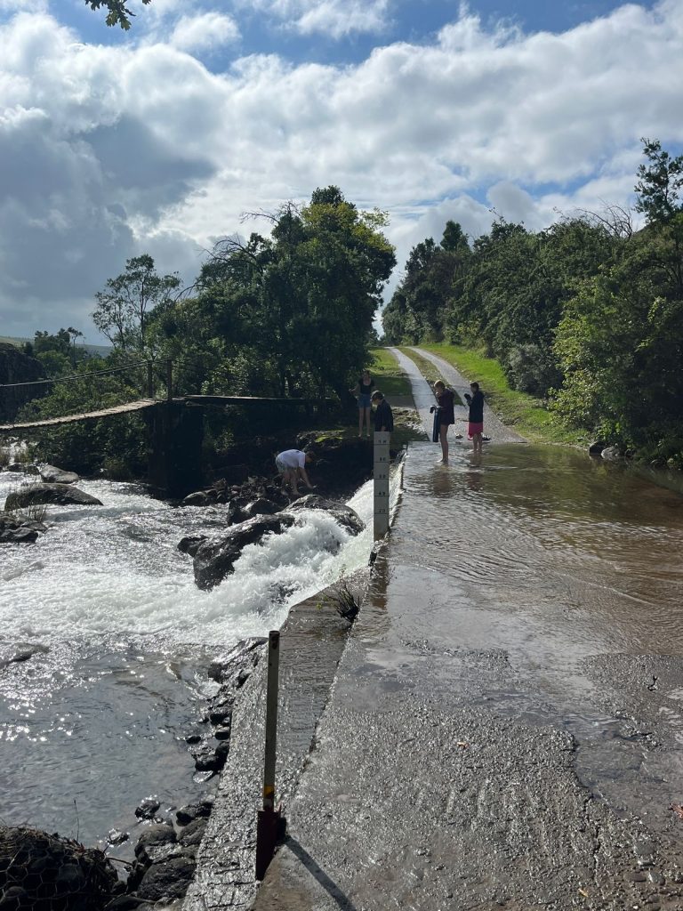 Michael Mount Waldorf School Class of 2025 32241