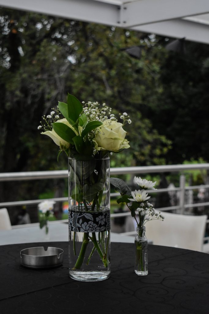 Michael Mount Waldorf School Class of 2025 32241