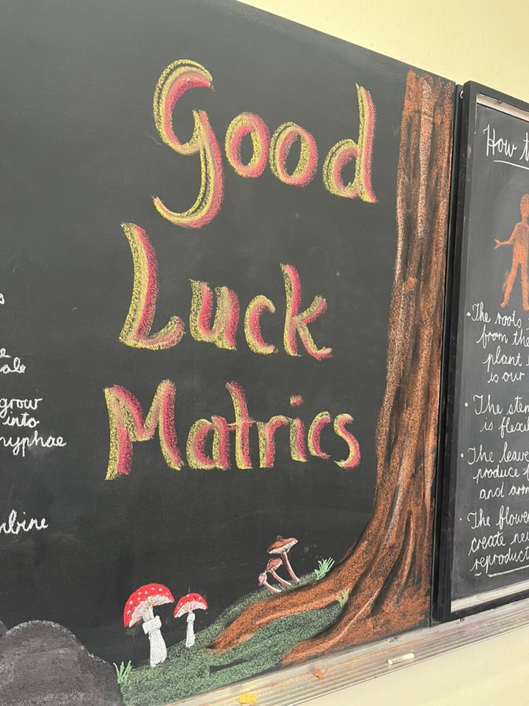 Michael Mount Waldorf School Class of 2025 32241