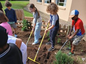 Michael Mount Waldorf School Class 3 – Age 9 – The Rubicon Year 33145