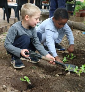 Michael Mount Waldorf School Rooted Before Wired: Educating Children for an AI Future 33330
