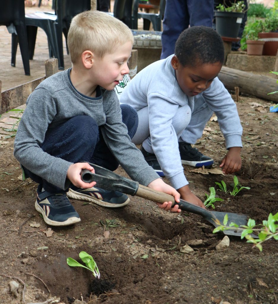 Food for thought: Educating Children for an AI Future